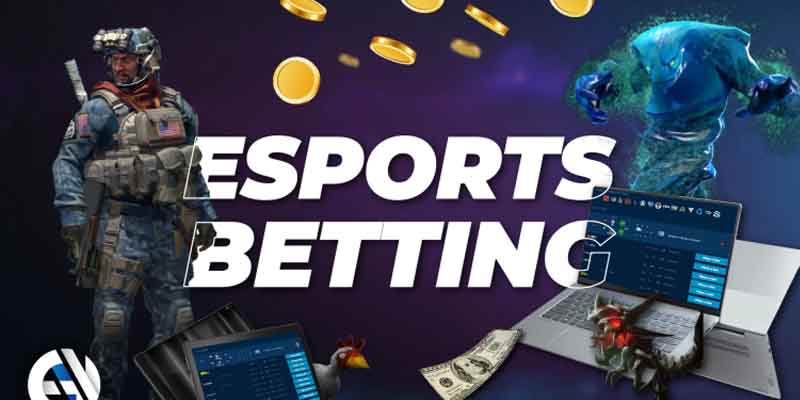 Sức hút của giải đấu esport lớn nhất Việt Nam